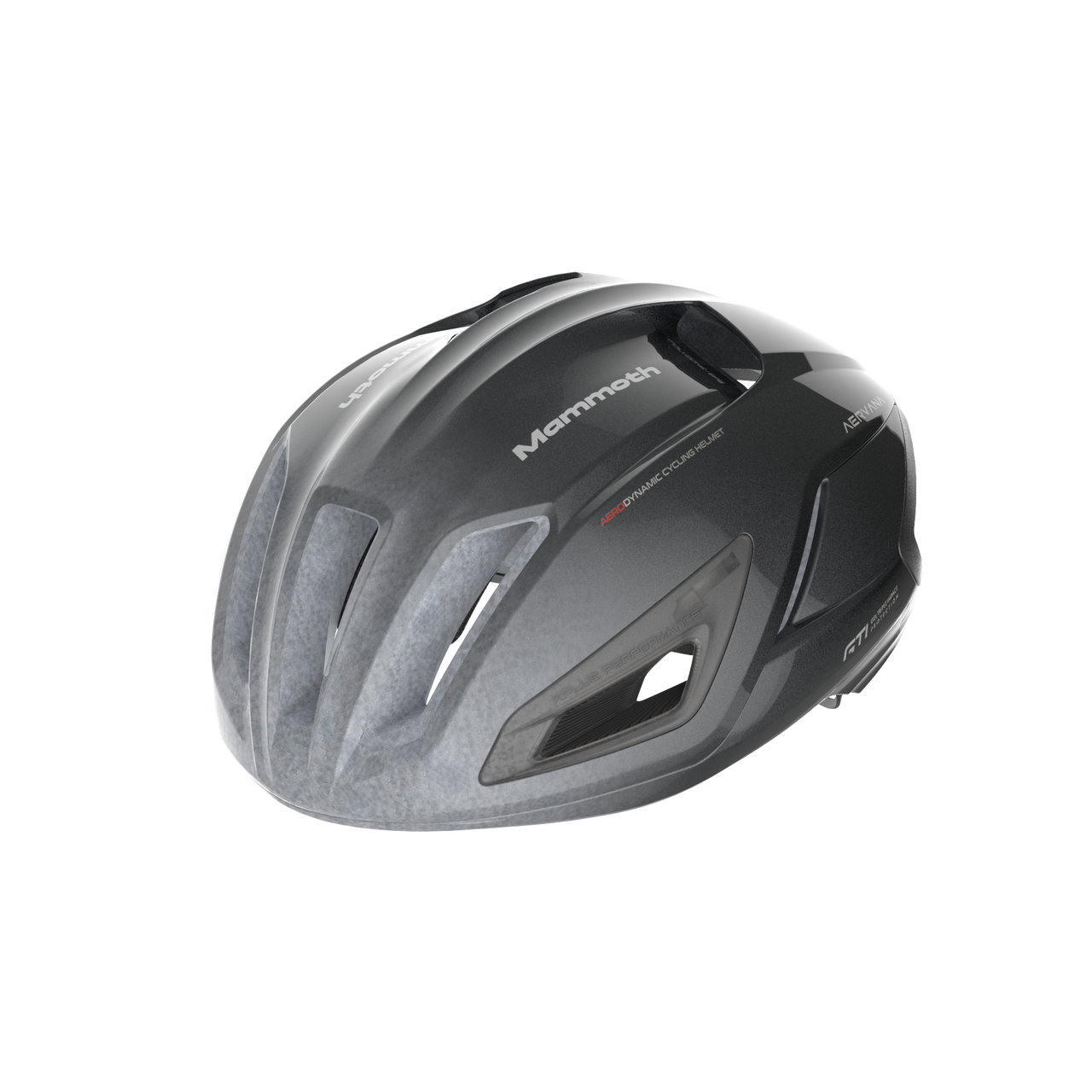 AERVANA｜GUNMA Mammoth Racing